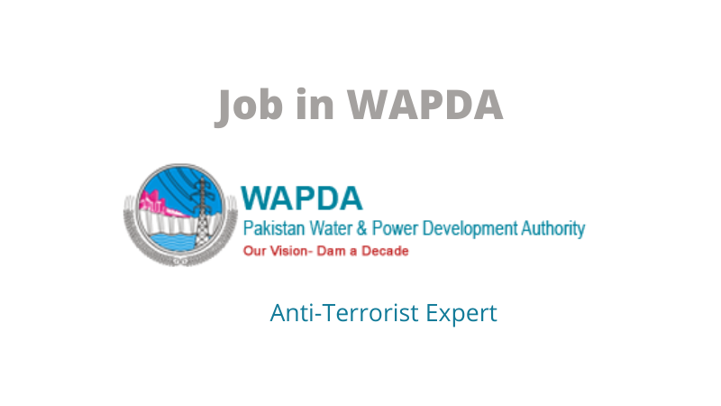Latest Job in Wapda